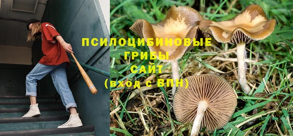 кокс Алзамай