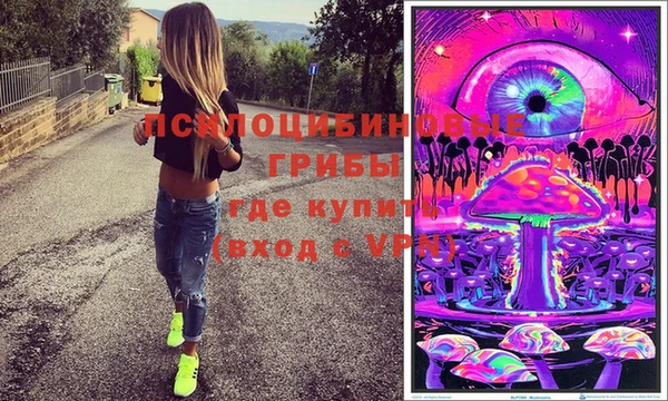 твердый Алексеевка
